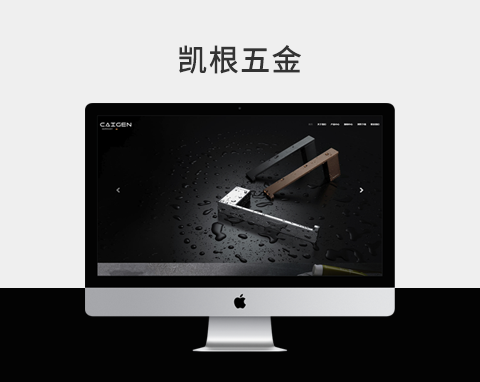 蘇州凱根貿(mào)易有限公司網(wǎng)站